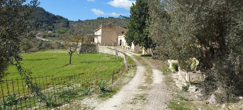 Entrada de las casas nuevas Biniatzent nou