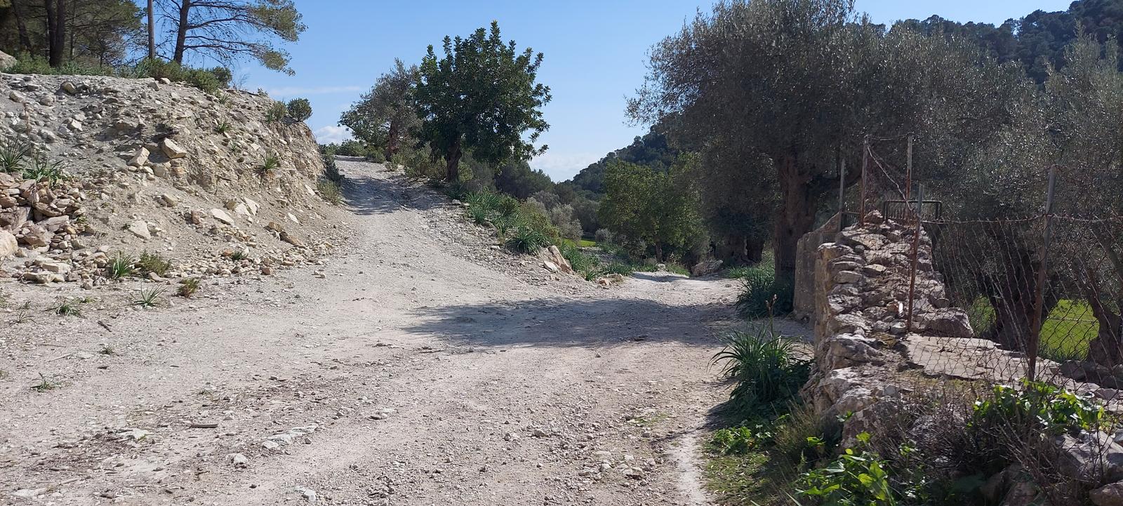 Camí nou para ir a la fuente.