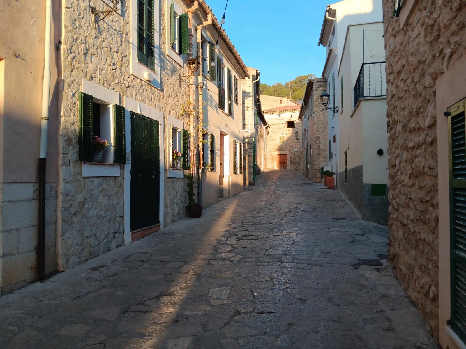 Bonita calle con todas las casa empresses