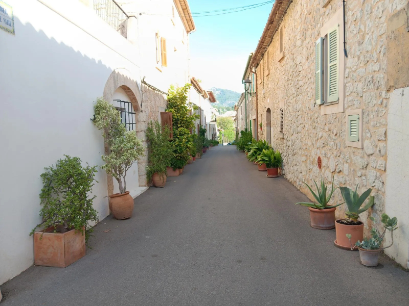 Emblematic carrer bisbe Nadal a les seves plantes decoratives