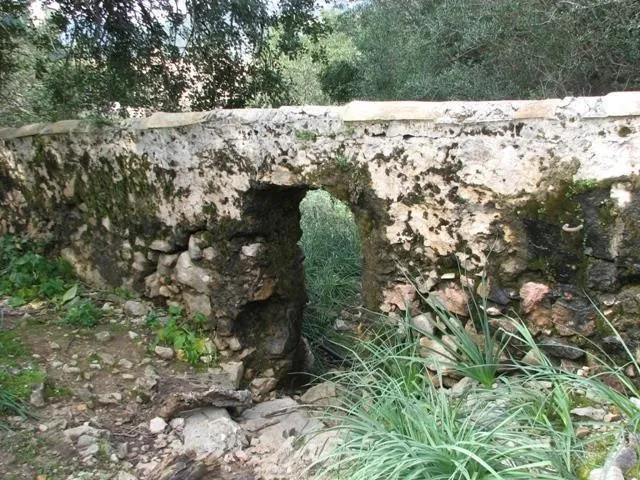 Camino que recorre la canaleta para llegar a Massanella