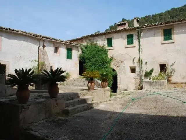Vista plantes i cisterna del pati