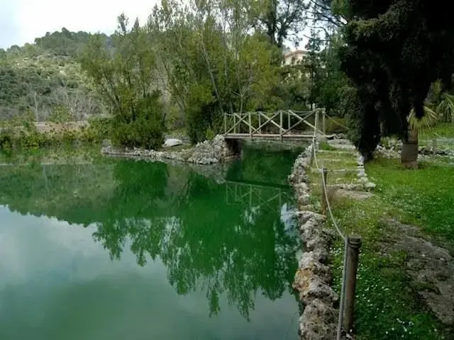 Llac del jardí que s'alimenta de la font