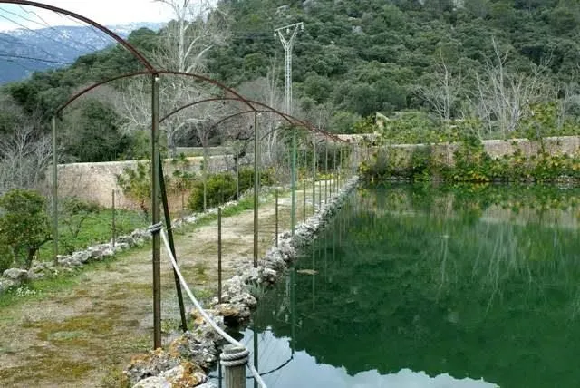 lago con con pasillos para pasear